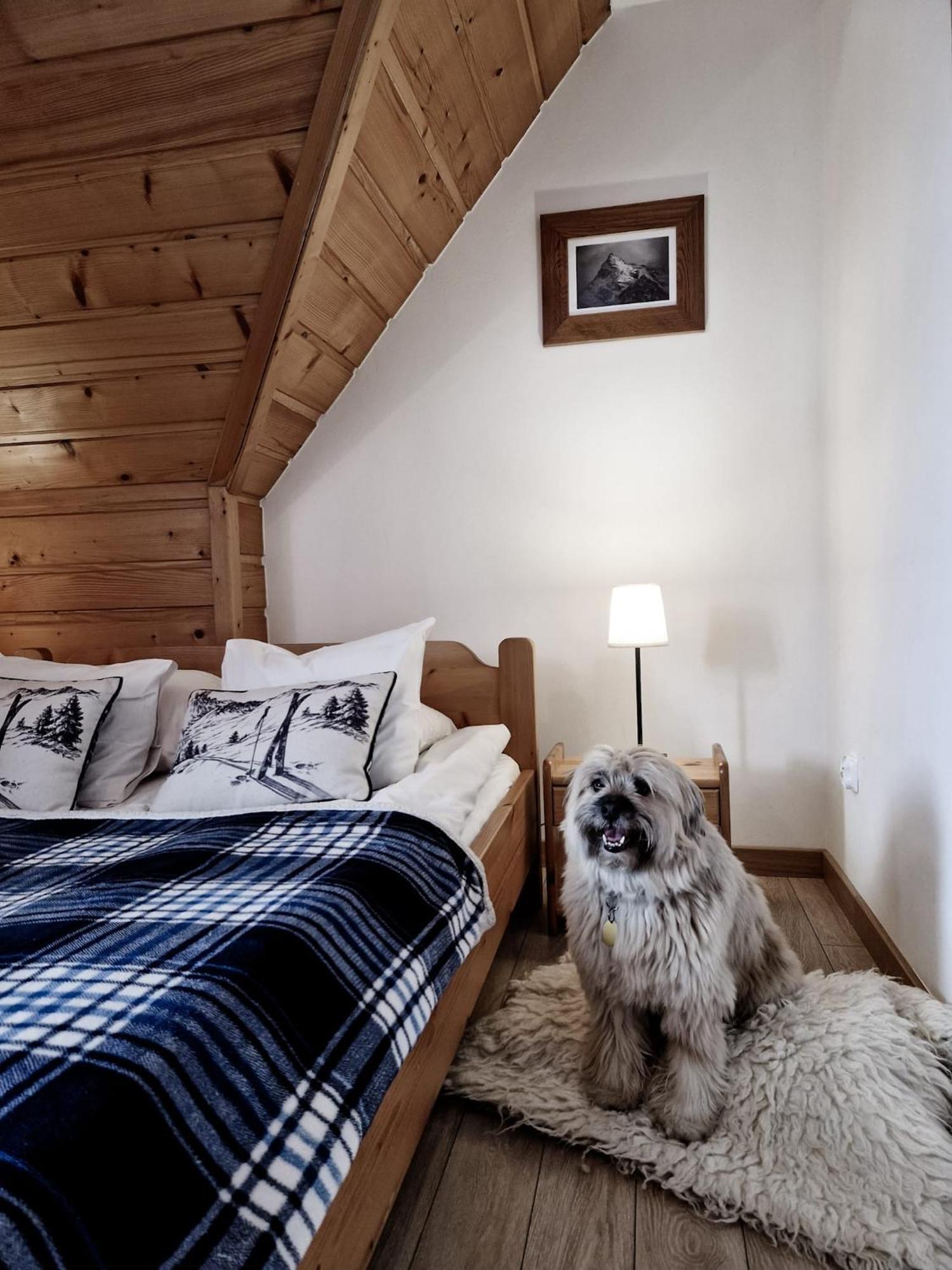 Zakopane Stop Bed & Breakfast Екстериор снимка